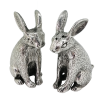 Pewter Salt & Pepper_Hare