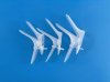 Vaginal speculum disposable Vaginal speculum disposable