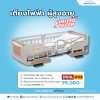 เตียงไฟฟ้า PARAMOUNT BED รุ่น Rakusho Z เรซิ่น อุปกรณ์ครบ