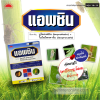 แอพซิน บูโพรเฟซิน (Buprofezin) + ไอโซโพรคาร์บ (Isoprocarb) 5% + 20% WP