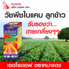 เรดโรดอฟ Quizalofop-P-ethyl 5% W/V