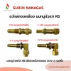 อะไหล่เดินท่อแก๊สงานทองเหลือง นมหนูหัวเตา KB หัวแฟลย์ หัวตาไก่