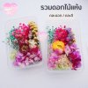 รวมดอกไม้แห้ง แบบกล่อง คละดอก คละสี สุ่ม