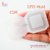 แม่พิมพ์ S173 Square Shaker Mold + CSM in the same mold