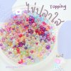 Topping ไข่ปลาใส คละสี 10 กรัม