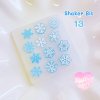 แม่พิมพ์เรซิ่น Shaker Bit 13