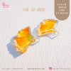 แม่พิมพ์ UV Resin Ear 70 Ginkgo leaf Clear Mold / แม่พิมพ์ใบแปะก๋วย
