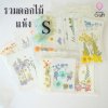รวมดอกไม้แห้ง S ดอกไม้แห้งทับ ดอกไม้แบบคละ