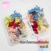 ดอกไฮเดรนเยียแห้ง แบบกล่อง คละขนาด คละสี สุ่ม
