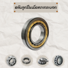 ตลับลูกปืนเม็ดทรงกระบอก Cylindrical Roller Bearing ตลับลูกปืนเม็ดทรงกระบอก Cylindrical Roller Bearing