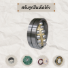 ตลับลูกปืนเม็ดโค้ง spherical roller bearings 