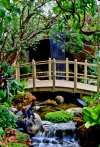 รับจัดสวนน้ำตก tropical garden