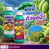 ฝนนี้ต้องสะสมด้วยคู่นี้เท่านั้น ฝนนี้ต้องสะสมด้วยคู่นี้เท่านั้น