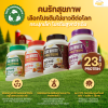 โปรตีนไข่ขาว eggy  เอ๊กกี้