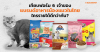 แบรนด์อาหารแมวในไทย แบรนด์อาหารแมวในไทย