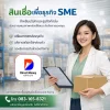 สินเชื่อเพื่อธุรกิจSME ทางเลือกสำคัญของเจ้าของกิจการยุคใหม่