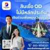 สินเชื่อ od ไม่มีหลักประกัน