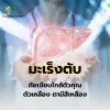 มะเร็งตับ มะเร็งตับ