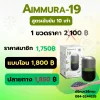 AIMMURA-19