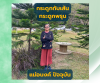กระดูกทับเส้น