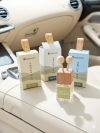 Herb Basics Car Aroma Air Freshener - 4 Scents