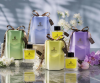 Room Diffuser 100 ml. The Scent of Chiang Mai Collection