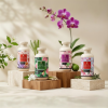 Body Cream Thai Flower Collection