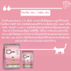 (exp.02/09/26) Catsrang Kitten อาหารแมว แคทรัง สูตรแมวเด็ก เกรดซูเปอร์พรีเมียม Premium