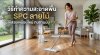 วิธีทำความสะอาดพื้น SPC ลายไม้ ให้สวยเหมือนใหม่ ทนทานนับ 10 ปี วิธีทำความสะอาดพื้น SPC ลายไม้ ให้สวยเหมือนใหม่ ทนทานนับ 10 ปี