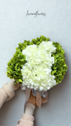 [Artificial] Shades of Green Hydrangea