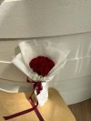 [Valentines] 10 Roses Bouquet