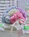 Rainbow (L) Hydrangea FlowerBox