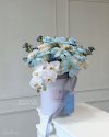 Mama Luxe Bloom Box with Orchids - Luxury Gift