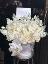The Grand Ivory Elegance XL Premium Box