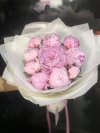 10 Pink Peony