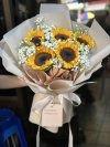 5 Sunflower with Gypsie