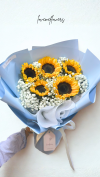 5 Sunflower with Gypsie