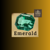 บัตรสมาชิกรุ่น Emerald 15000