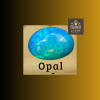 บัตรสมาชิกรุ่น Opal 4000