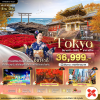 (ทัวร์ญี่ปุ่น) โตเกียว อิบารากิ นิกโก้ คาวากูชิโกะ 5 วัน 3 คืน บินตรง Thai AirAsia X