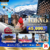 (ทัวร์ญี่ปุ่น) โตเกียว ฮาคุบะ ฟูจิ นากาโนะ 6 วัน 4 คืน บินตรง Thai AirAsia X