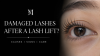 damaged lashes after lash lift ขนตาช็อตหลังลิฟติ้ง อาการขนตาเสีย หงิก แห้ง และงอผิดรูป damaged lashes after lash lift ขนตาช็อตหลังลิฟติ้ง อาการขนตาเสีย หงิก แห้ง และงอผิดรูป