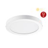 DNER DOWNLIGHT LED PANEL 12W 220V SURFACE MOUNTED ROUND