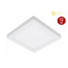 DNER DOWNLIGHT LED PANEL 12W 220V SURFACE MOUNTED SQUARE