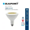 BLAUPUNKT หลอดไฟ LED PAR38  15W ขั้ว E27