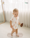 Bundle Bodysuit and Short Set Raccoon Series