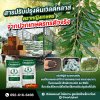 ดินดีไม่มีเคมี