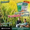  ลดเคมี เพิ่มผลผลิต