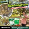 เกษตรอินทรีย์แท้