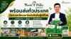 World Plant สินค้าคุณภาพ พร้อมส่งทั่วประเทศ World Plant สินค้าคุณภาพ พร้อมส่งทั่วประเทศ